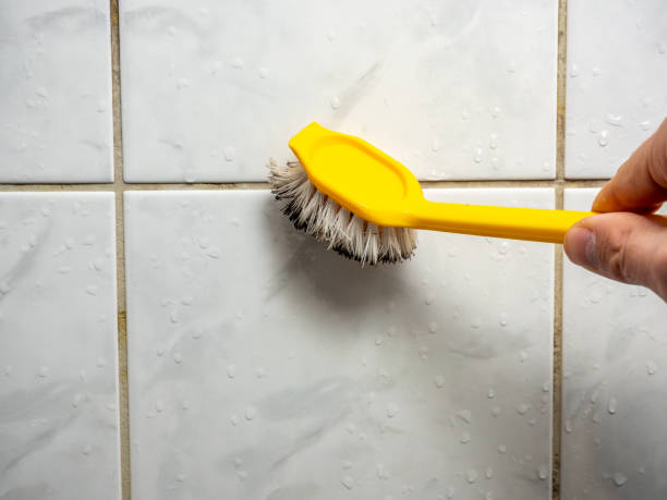 Best Mold Testing and Removal  in Oak Grove, VA