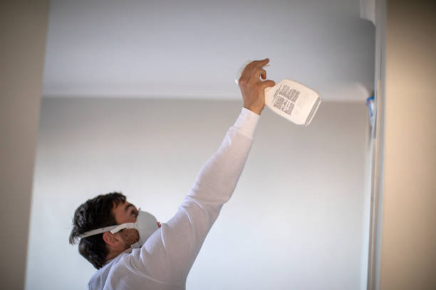 Best Mold Remediation Experts  in Oak Grove, VA